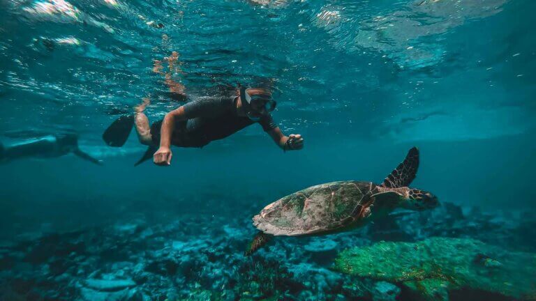 11Swimming with Turtle in Turkey